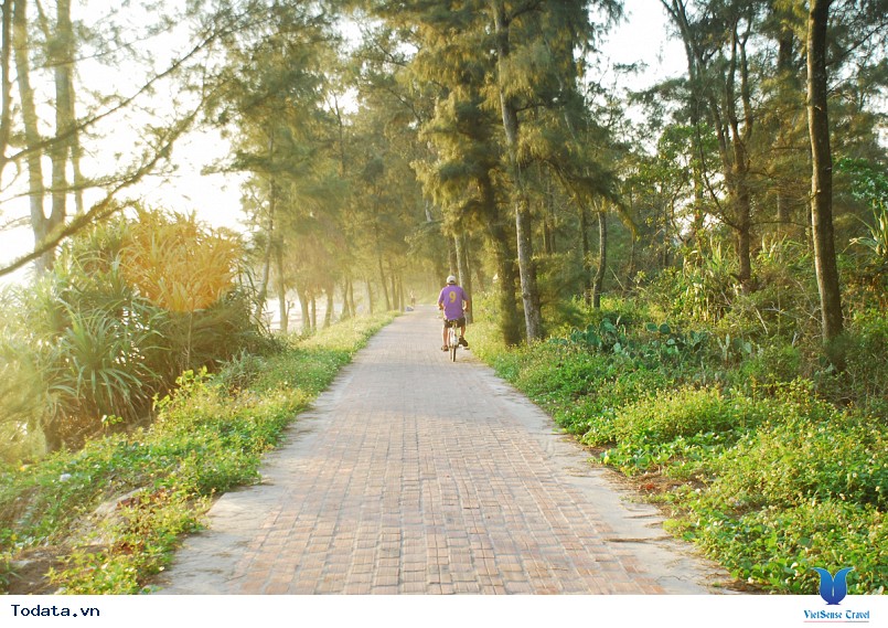 Đường tình yêu cô tô